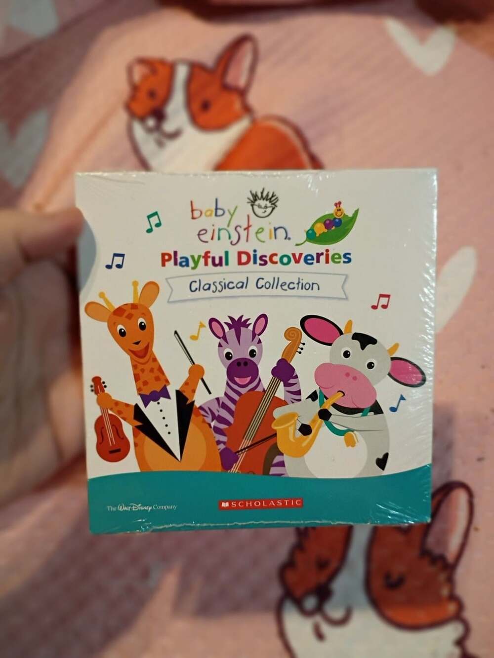 Baby Einstein Playful Discoveries Music Cd New!